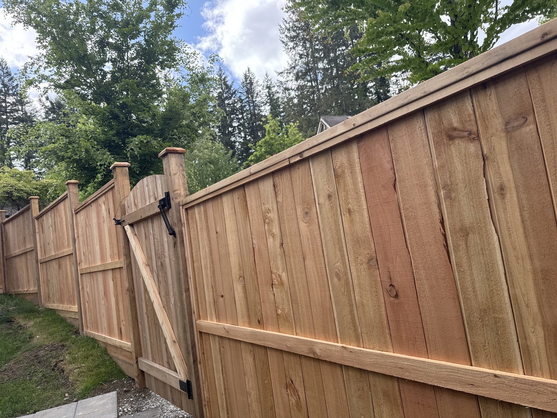 A cedar fence run