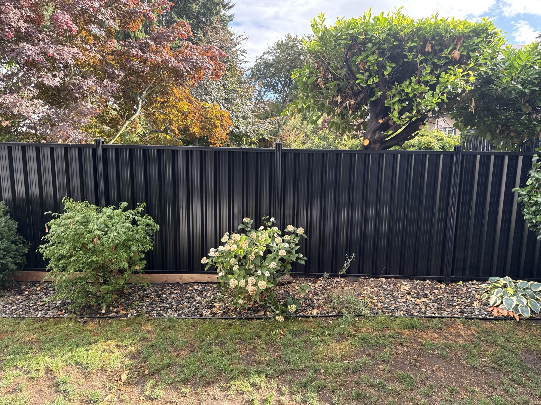 A black metal fence
