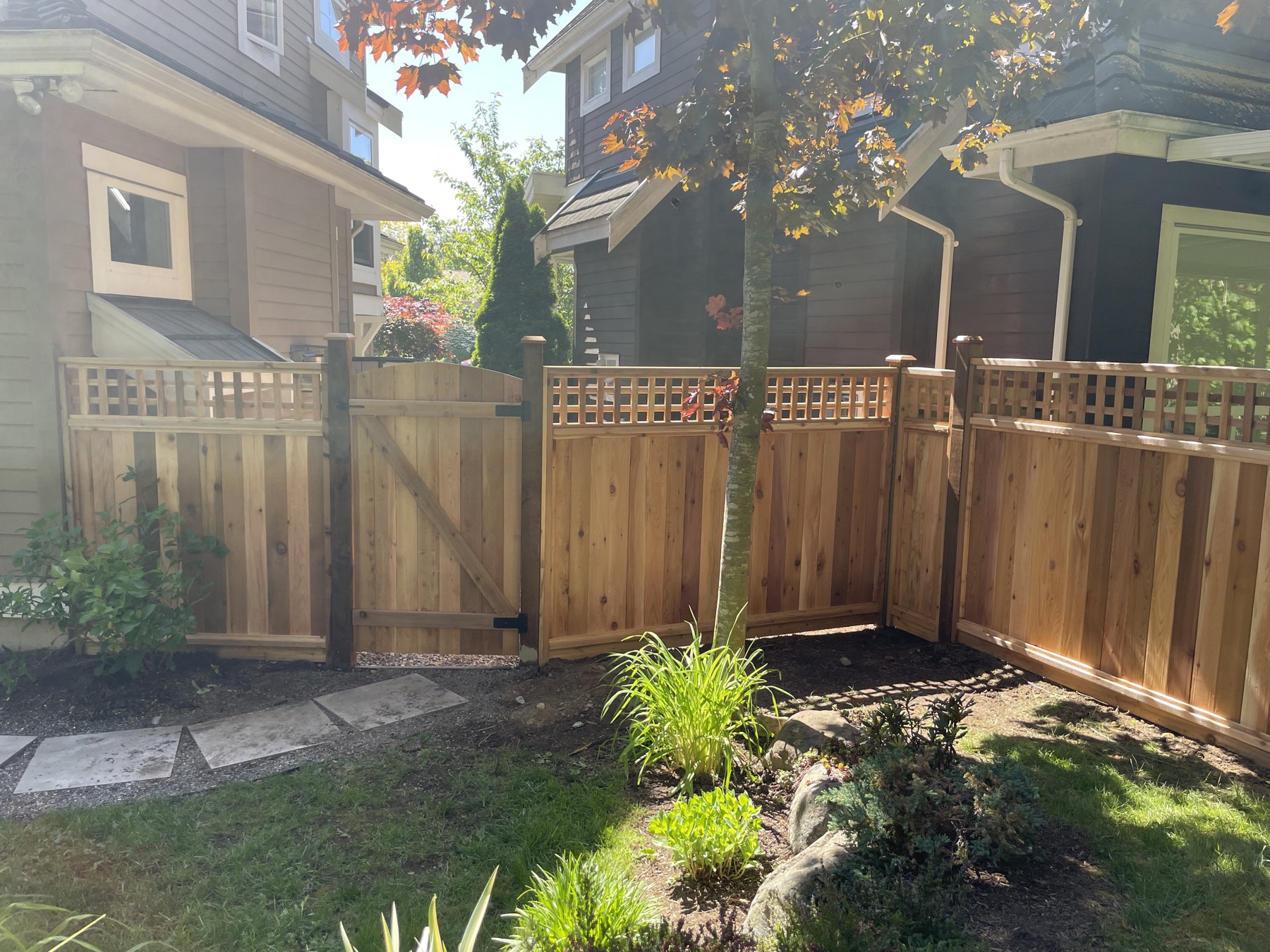 A cedar fence behind new planting