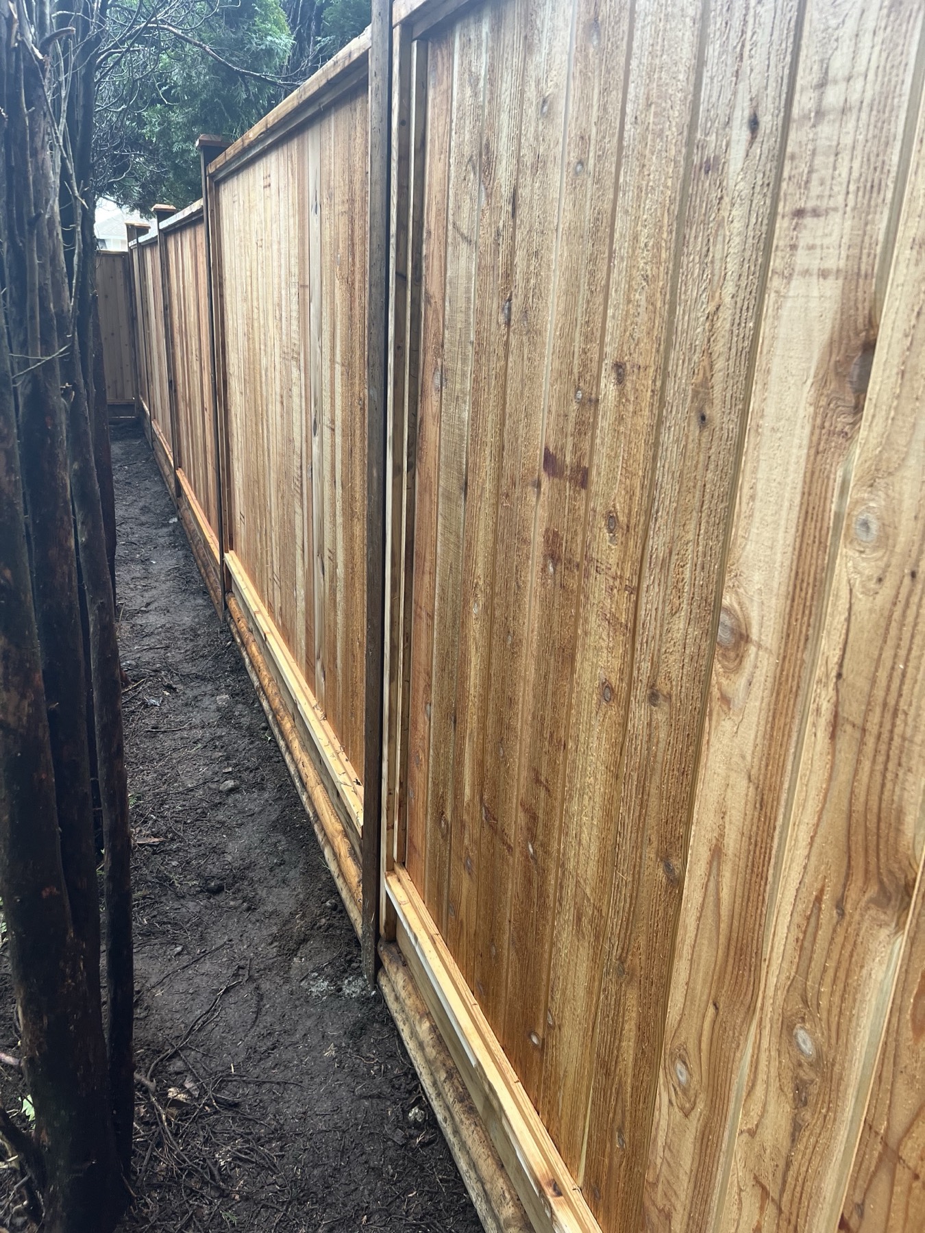 A tall cedar fence run