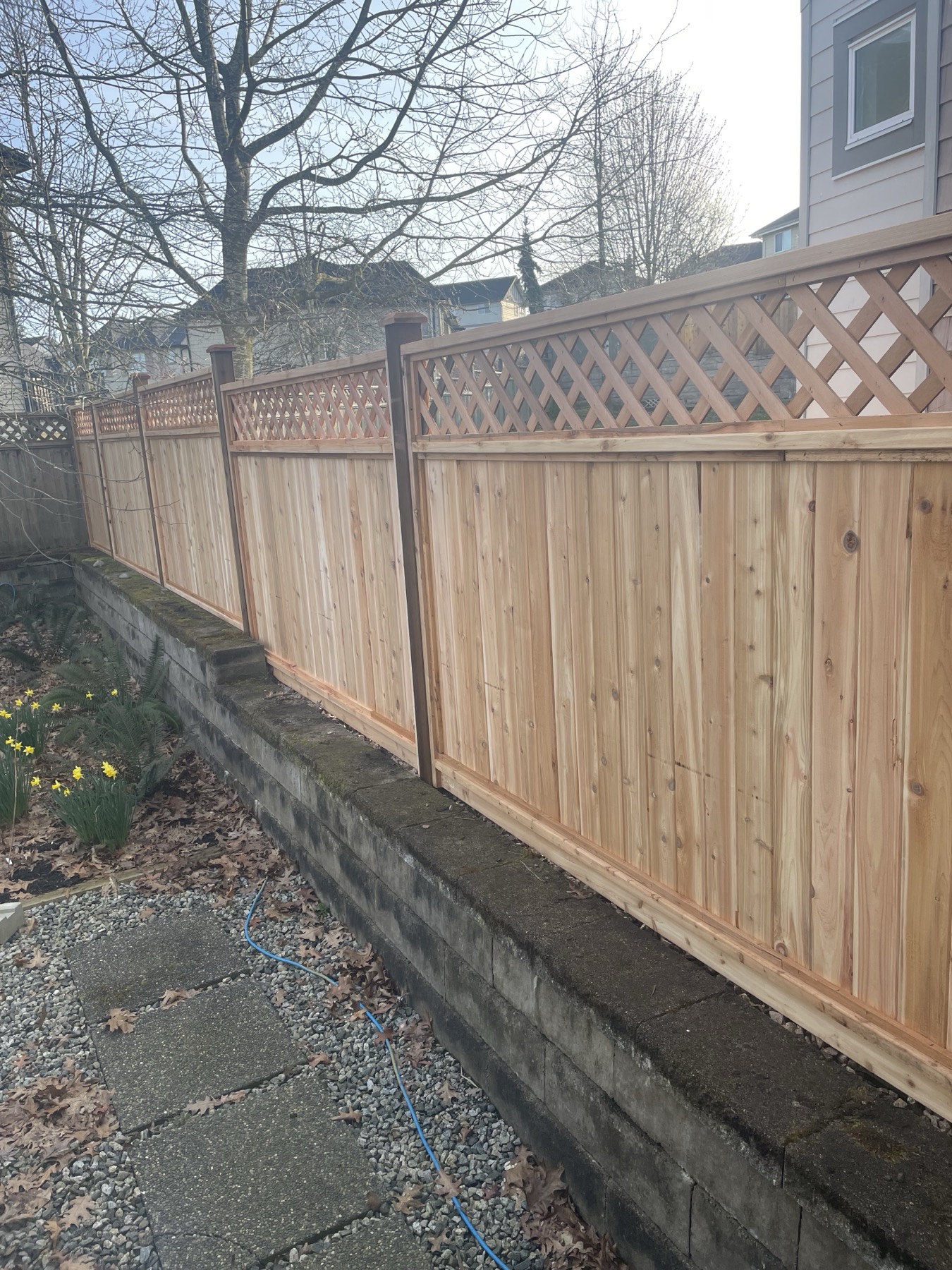 A lattice topped cedar fence
