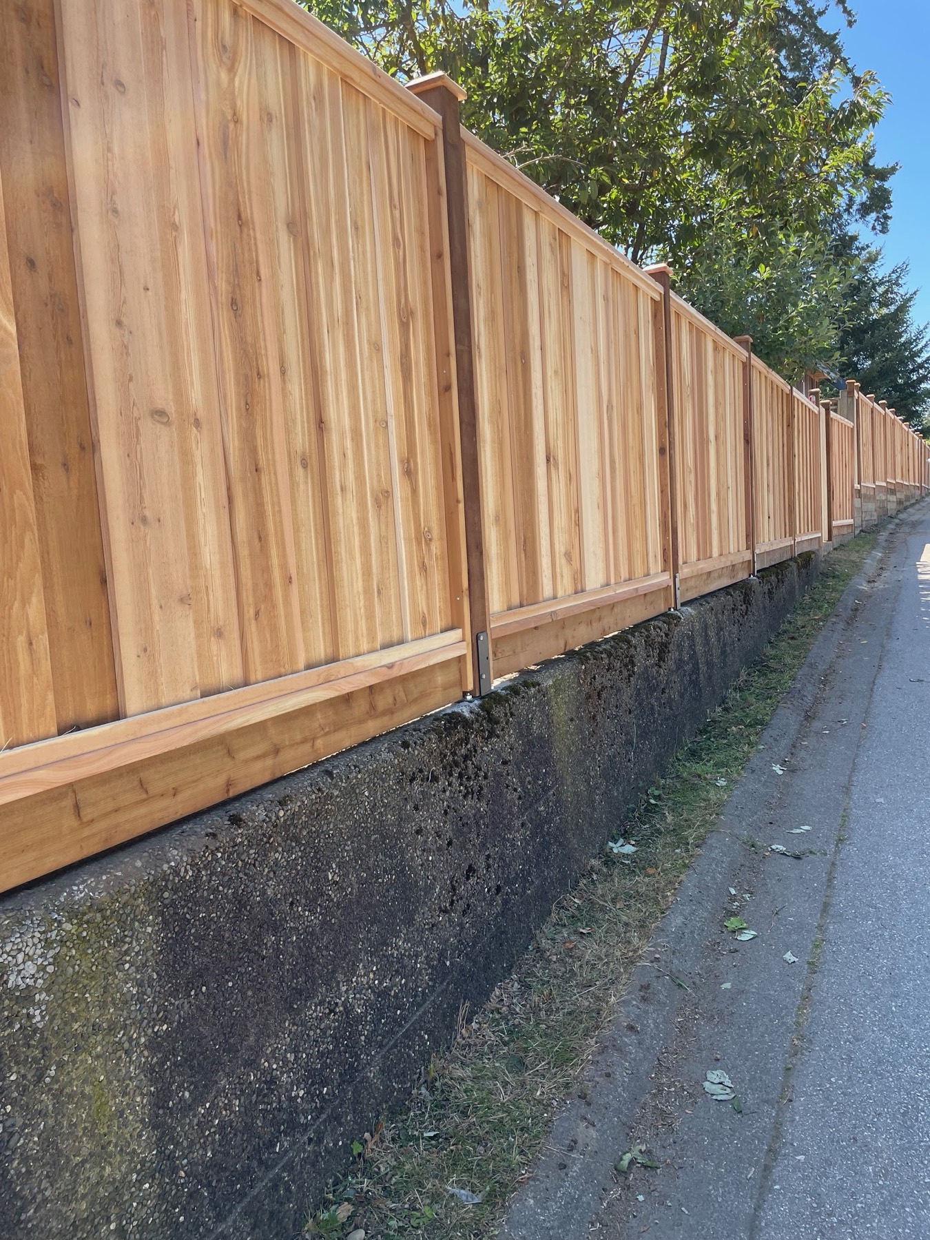 A standard vertical board cedar fence